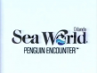 Sea World-Penguins And Baby Shamu