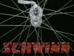 Schwinn Bicycles In 1985