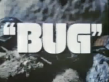 Bug
