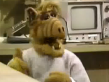 NBC Promo-Alf And The Hogan Family