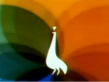 NBC Bumper - Sneezing Peacock 